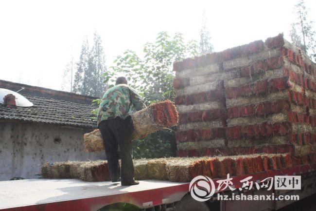 6即将运往外地的草垫