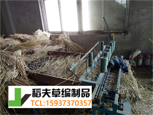 实拍农民稻田收割后稻草的利用，编织成草帘子发往全国各地